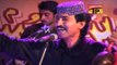 Arey O Aashiq | Ghulam Hussain Umrani | Album 28 | Sindhi Songs | Thar Production