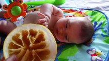 BABY EATING SOUR Like Lemon For the FIRST TIME Like Giant Fruit CHALLENGE Funny Silly Babies Faces