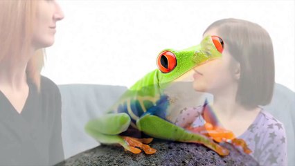 ASL Animals Song Lesson for Kids - Learn how to sign Animals with Fireese