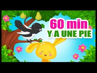 Y'a une pie dans l'poirier - Chansons classiques pour les enfants
