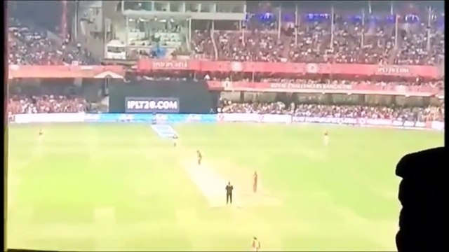 IPL 2016 FINAL FULL Highlights - Sunrisers Hyderabad Champion _ SRH vs RCB Live - Warner is Champion