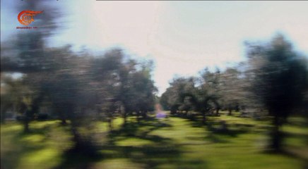 موسيقى الشعوب | عبير نعمة في موسيقى الشعوب | من سالينتو "ايطاليا" | 2016-08-28