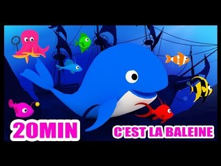 C'est la baleine - chanson avec Méli et Touni pour les enfants