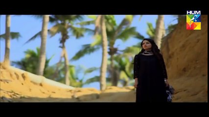 Haya Kay Daman Main Ost Video HUM TV Drama