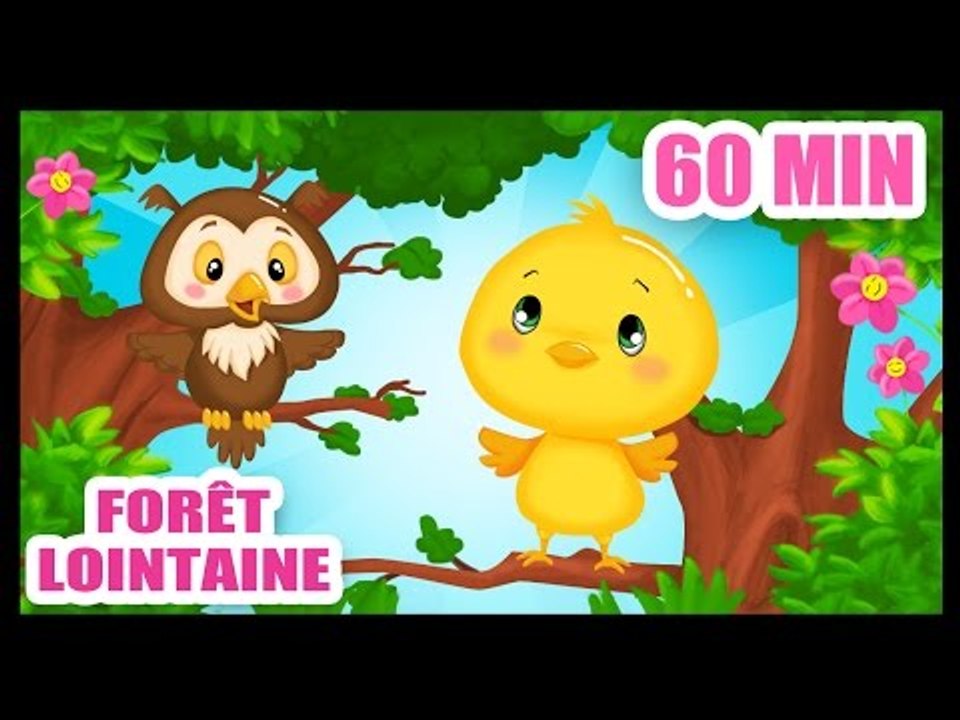 Dans la forêt lointaine -chanson pour les bébés - Titounis