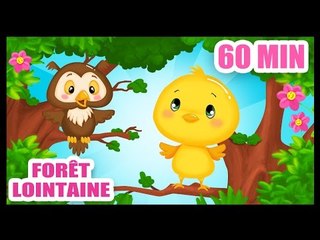 Dans la forêt lointaine -chanson pour les bébés - Titounis