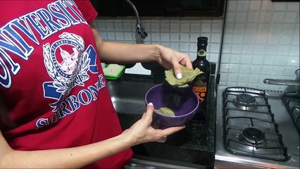 5 receitas medicinais com folha de louro