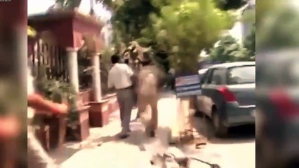 Police Wale Di Aaps Vich WWE Style Ladai