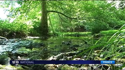 Comment s’occuper tout en étant au frais ?