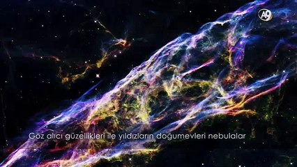 International Conference on the Origin of Life and the Universe