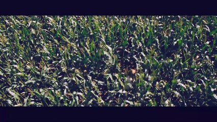 Boa Noite, Mamãe! - Trailer Legendado