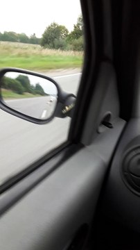 Snake Hitches a Ride on Car