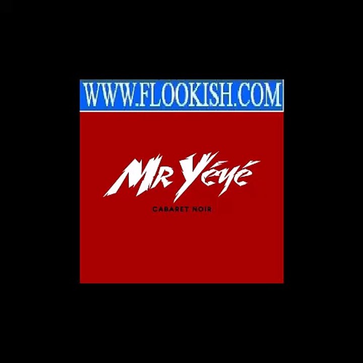 Mr Yéyé - Je ne suis pas une erreur