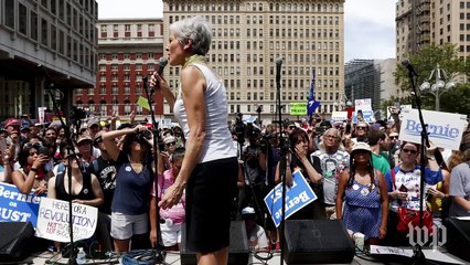 Jill Stein talks vaccines, growing the Green Party, and running for president