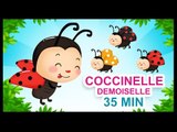 Coccinelle, demoiselle - Comptines pour bébés - Titounis