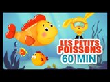 Les petits poissons dans l'eau - La compilation de comptine pour les enfants