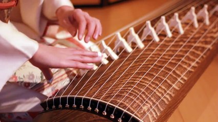 Japanese musical instrument Shake It Off-Taylor Swift - Cover by TEAM KOZAN（光山組）