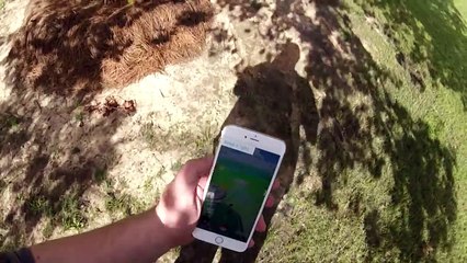 POKEMON GO - To Catch A Pidgey