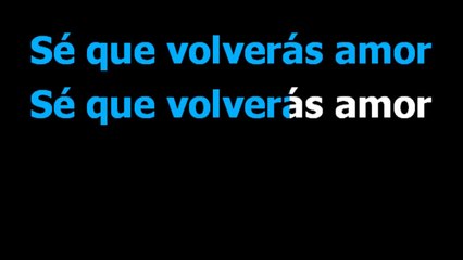 Se que volveras - Julio Iglesias Y Nana Mouskouri - Karaoke - Letra