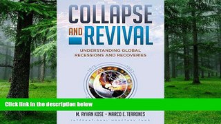 Big Deals  Collapse and Revival: Understanding Global Recessions and Recoveries  Free Full Read