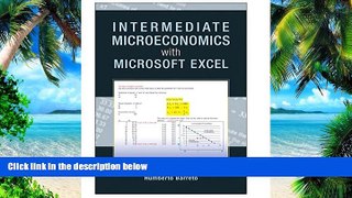 Big Deals  Intermediate Microeconomics with Microsoft Excel  Free Full Read Best Seller