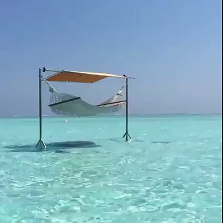 Bahamas the dream spot