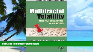 Big Deals  Multifractal Volatility: Theory, Forecasting, and Pricing (Academic Press Advanced
