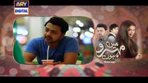 Mein Mehru Hoon Episode 29 on Ary Digital in High Quality 25th August 2016