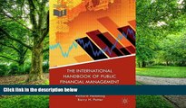Big Deals  The International Handbook of Public Financial Management  Free Full Read Best Seller