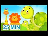 La famille Tortue - Chansons sur les animaux pour les bébés