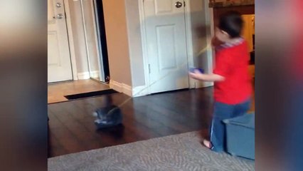 Cute Kid Takes Tumble While Playing With Cat