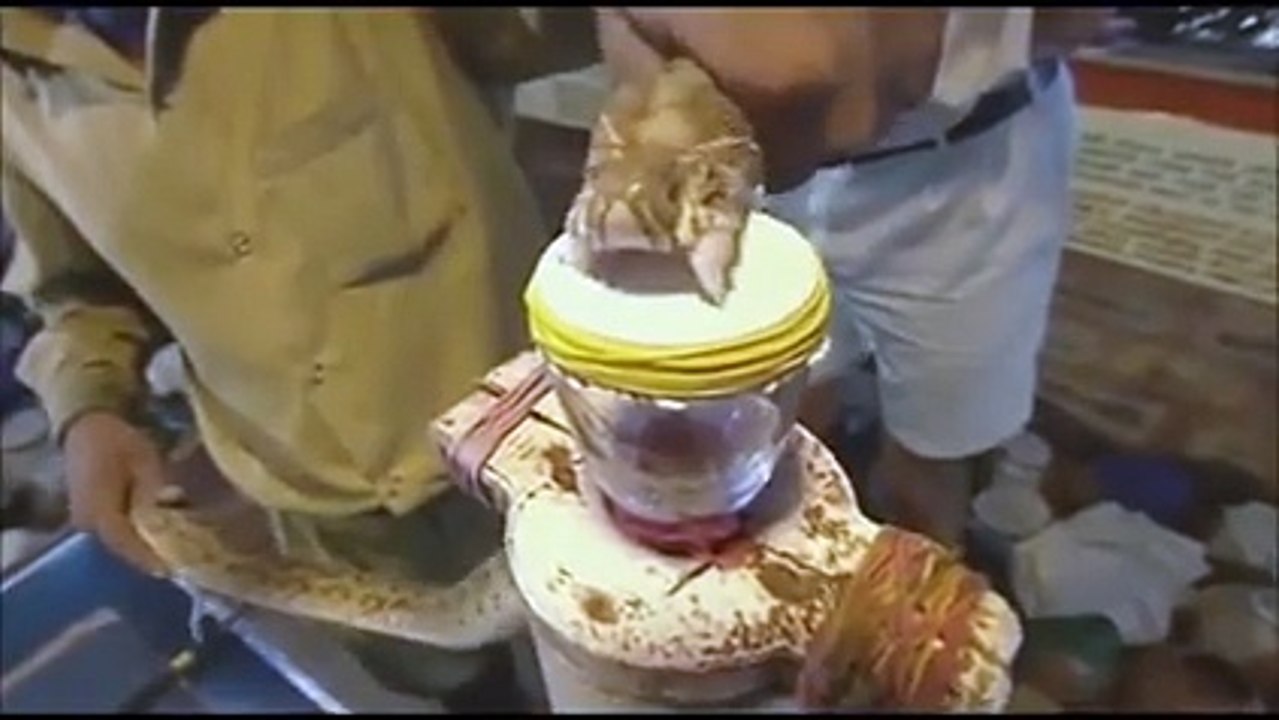 snake zhar