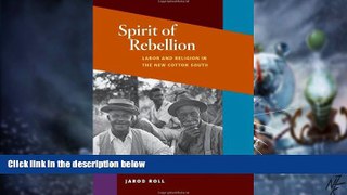 Big Deals  Spirit of Rebellion: Labor and Religion in the New Cotton South (The Working Class in