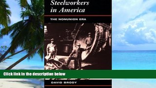 Big Deals  Steelworkers in America: The Nonunion Era  Free Full Read Best Seller