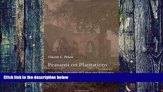 Big Deals  Peasants on Plantations: Subaltern Strategies of Labor and Resistance in the Pisco