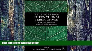Big Deals  Teleworking: New International Perspectives From Telecommuting to the Virtual