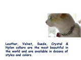 Find Online Rhinestone Dog Collars