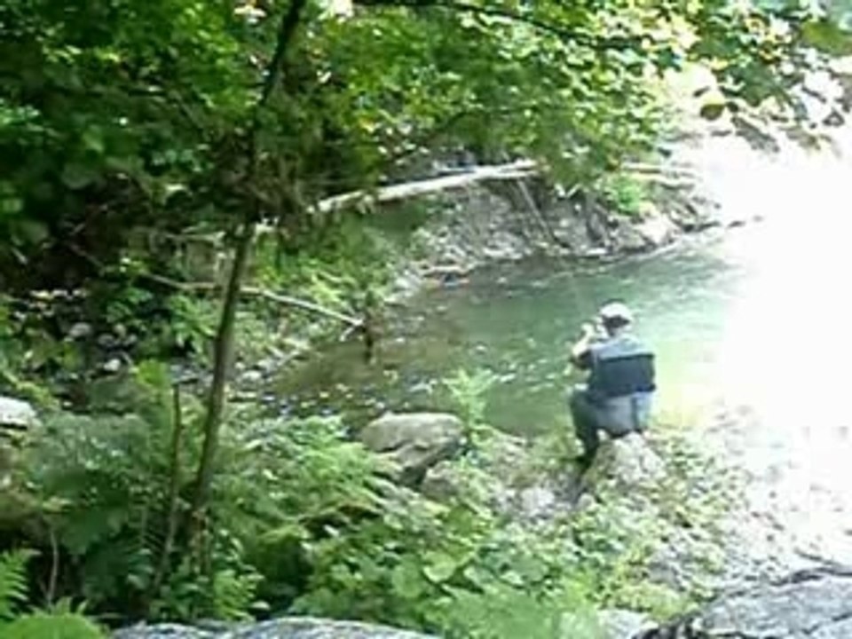 One Shoot, One Fish
