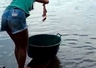 охота на пиранью