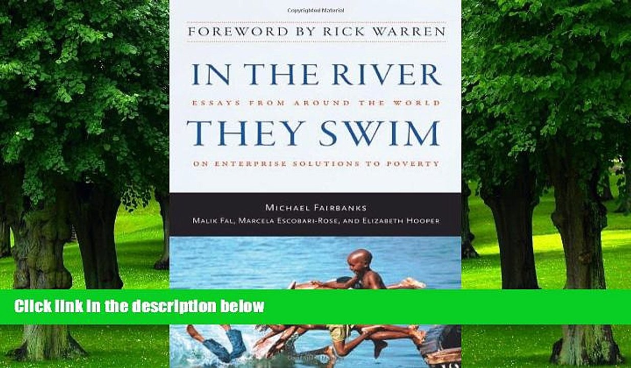 Big Deals  In the River They Swim: Essays from Around the World on Enterprise Solutions to