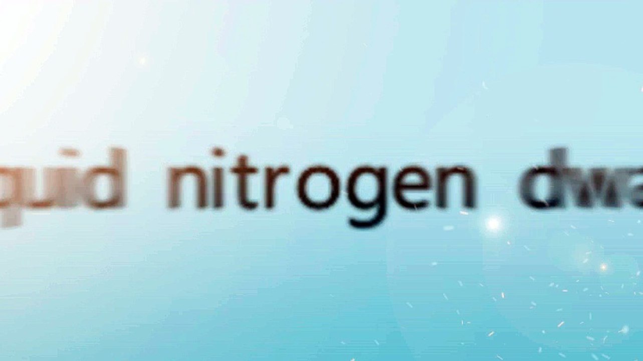 Liquid Nitrogen Container
