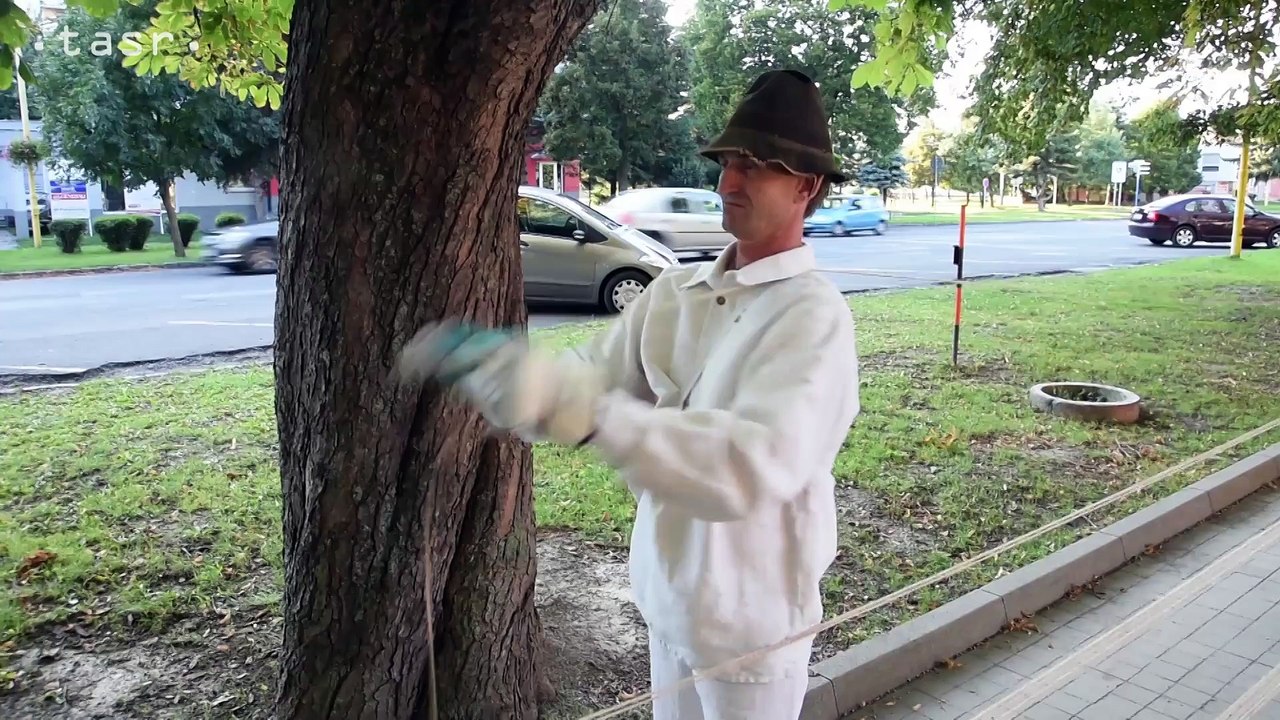 V Trebišove uplietli rekordné lano s dĺžkou vyše 247 metrov