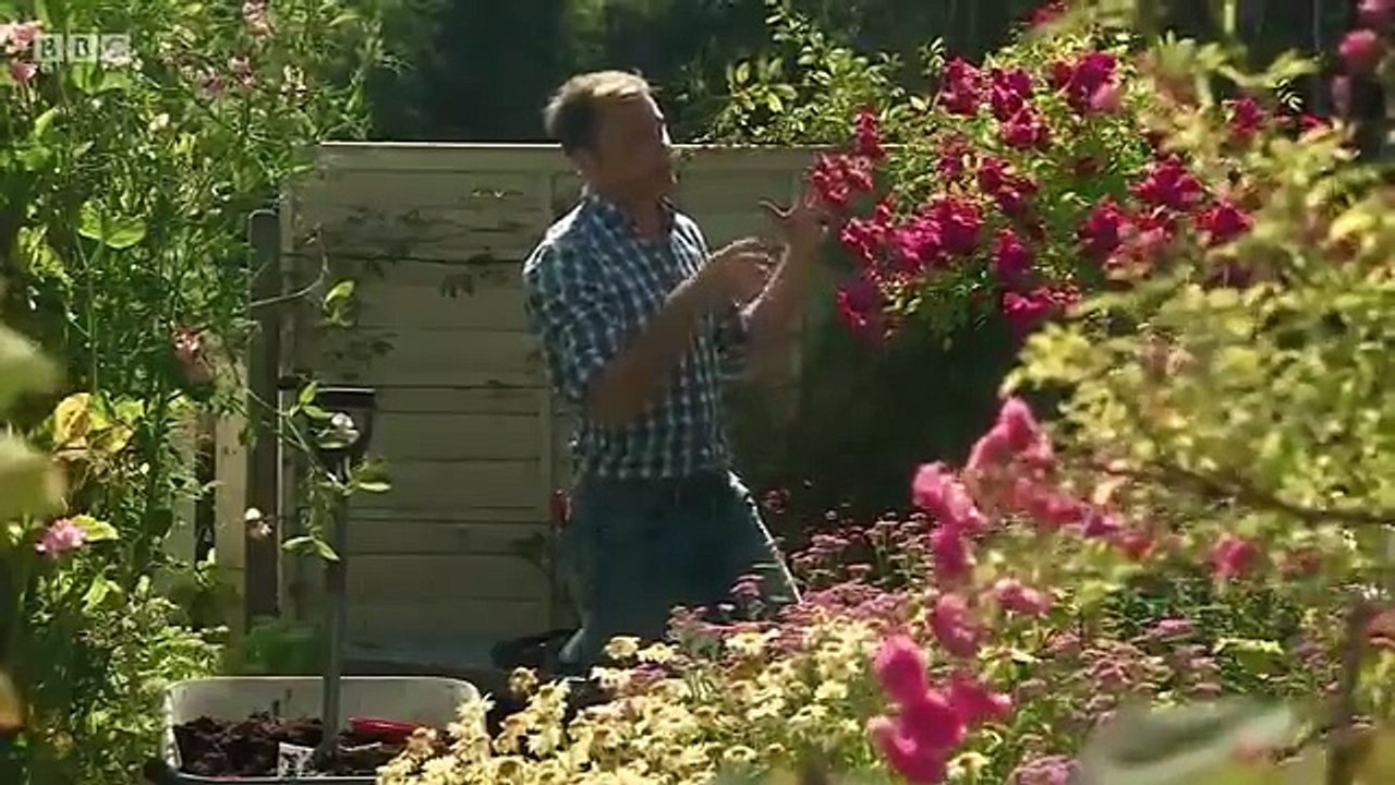 The Beechgrove Garden 2016 S38E17 HD