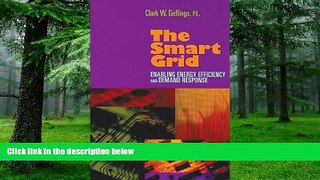 Big Deals  The Smart Grid: Enabling Energy Efficiency and Demand Response  Best Seller Books Most