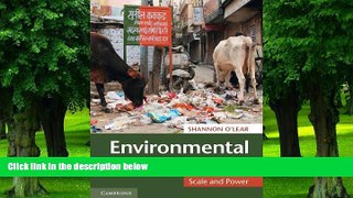 Big Deals  Environmental Politics: Scale and Power  Best Seller Books Most Wanted