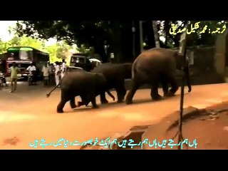 The Arrivals Urdu MSS Part-32 (The Most Valuable Truth)