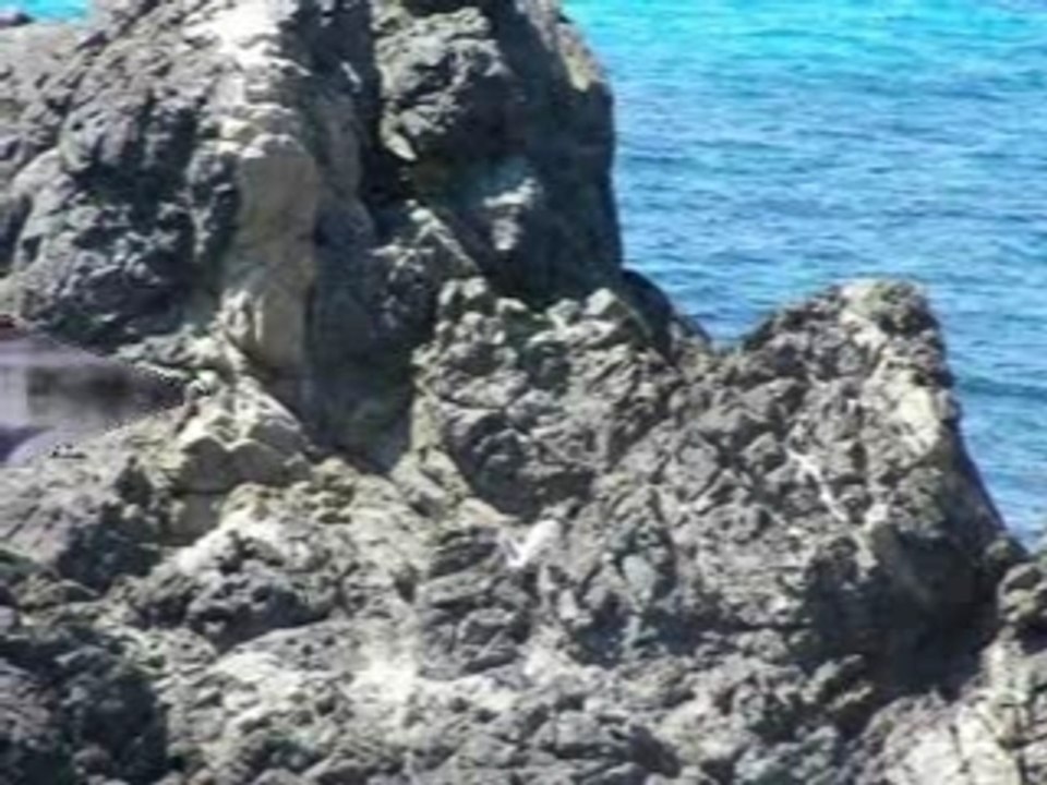 CORSICA