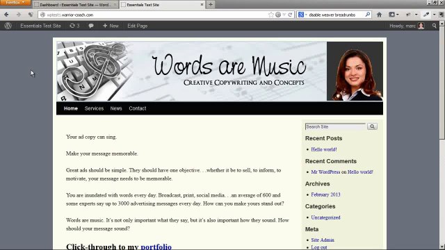 Setting Up Post Categories & Blog Pages in WordPress