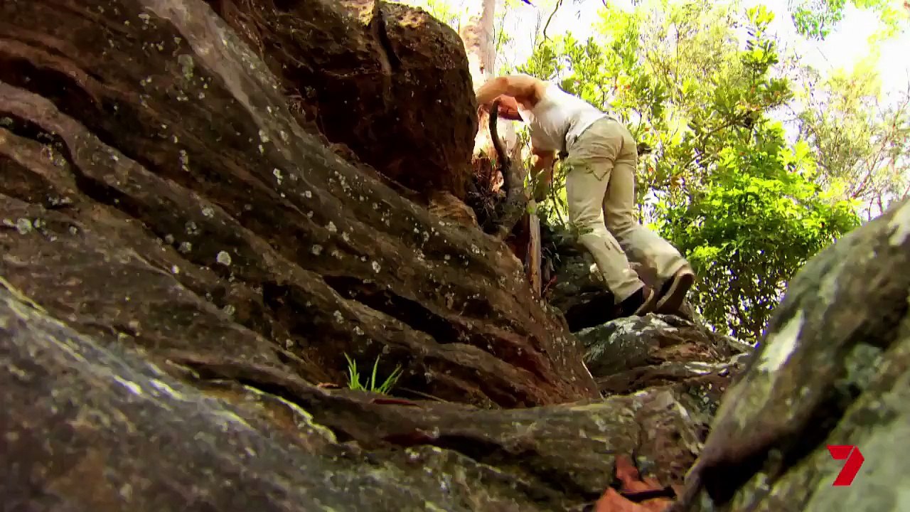 Home and Away - Sneak Peek - Can they save him