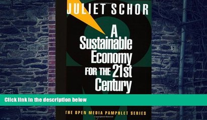 Big Deals  A Sustainable Economy for the 21st Century (Open Media Series)  Free Full Read Most